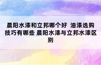 晨阳水漆和立邦哪个好  油漆选购技巧有哪些 晨阳水漆与立邦水漆区别